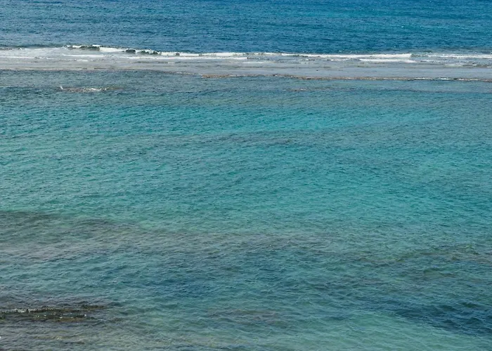 Chez Abel Las Palmas / Gran Canaria